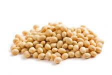 Are Dogs Allowed To Have Chickpeas Are Dogs Allowed To Have Chickpeas