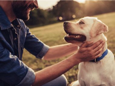 How can I relieve my dog’s boredom?