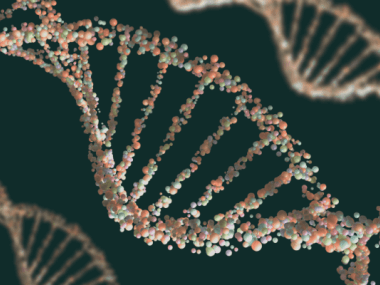 image of double helix representing a dna test