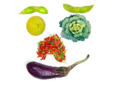 vegfaceJPGitokcSyOfP