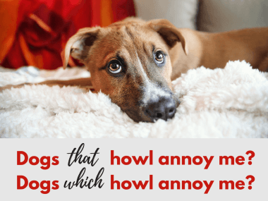 An example of how using "which" or "that" can change the meaning of a sentence.
