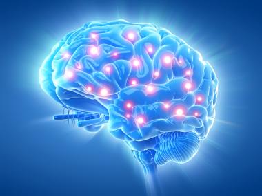 image of an active brain due to mindfulness