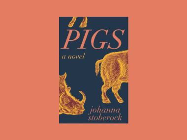 Stoberock Pigs