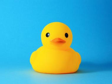 The word canard comes from an old story about a duck.