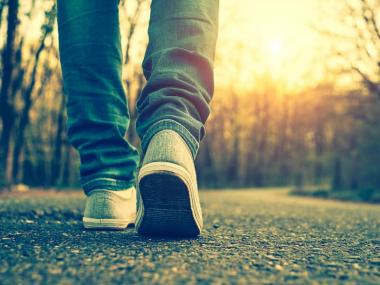 A picture of feet and legs walking a trail