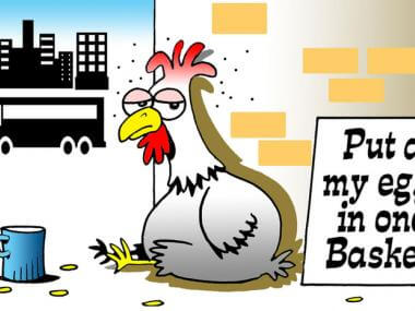 ChickenjpgitokHbeUz