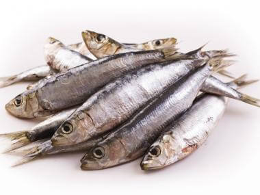 Anchovies