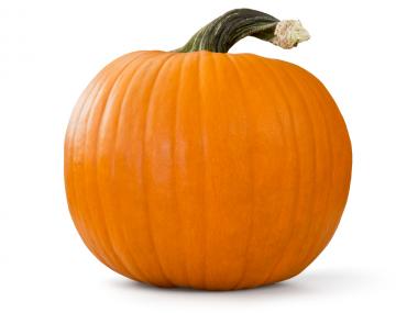 pumpkin jpg