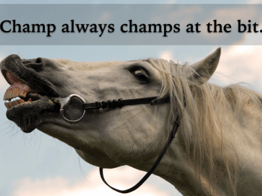 champ chomp memory trick