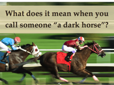 dark horse meaning