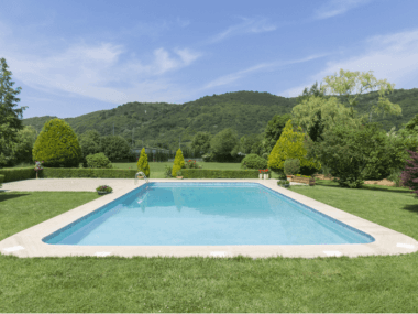 How To Keep Birds Away From Your Patio Pool And Garden How To Keep Birds Away From Your Patio Pool And Garden