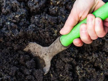 Gardening Hacks for Spring Planting