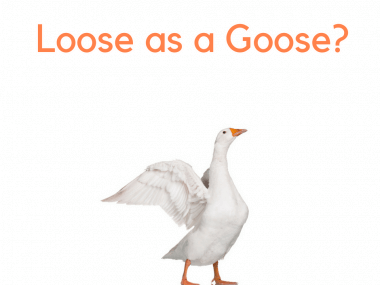 loose as a goose origins