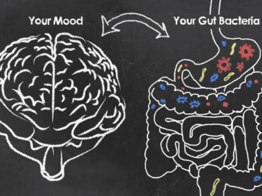 gut health