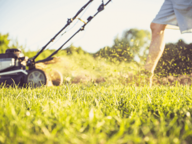 Getting yard ready for spring