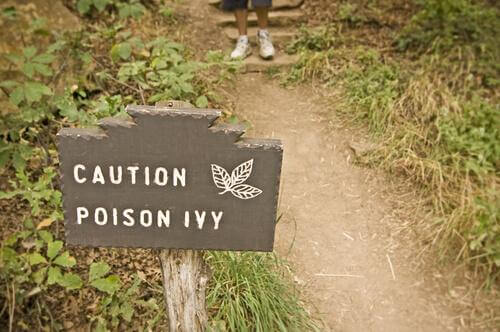 HowtoTreatPoisonIvy