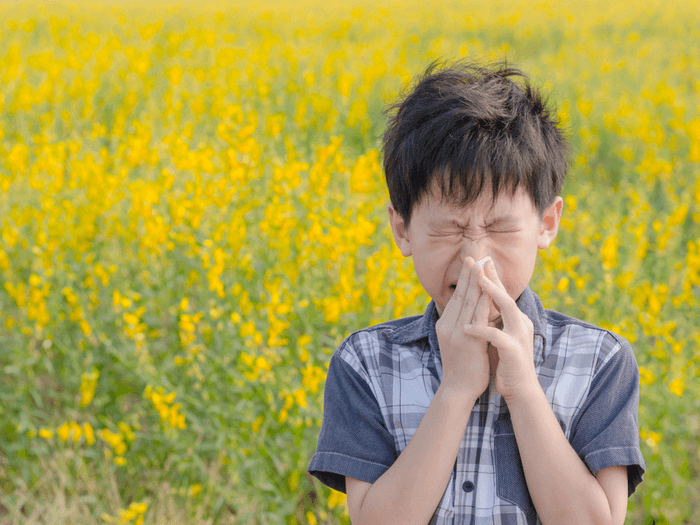 allergies