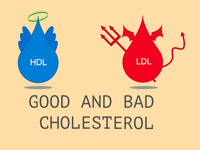 image of good and bad cholesterol