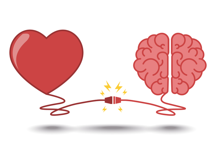 Heart and brain working together