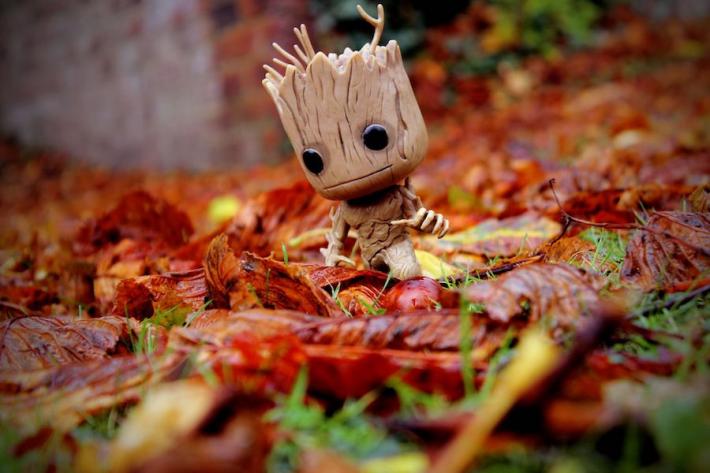 Groot, a character from the Marvel universe who also speaks a language called Groot, is sitting in a pile of leaves.