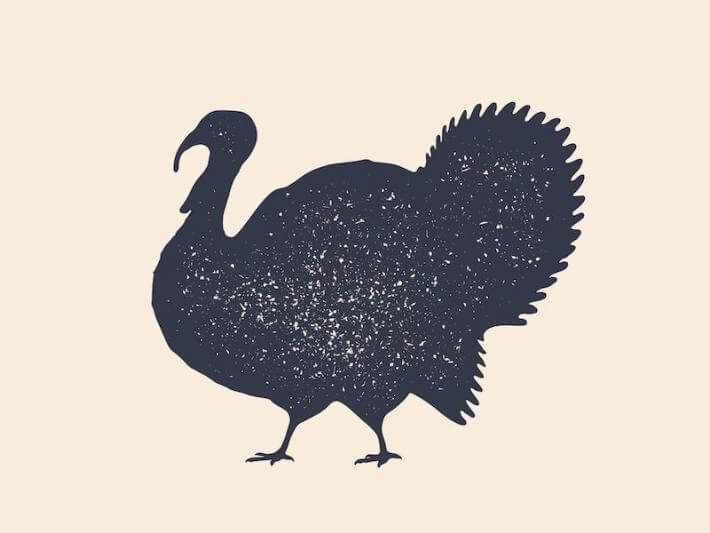 a simple turkey illustration