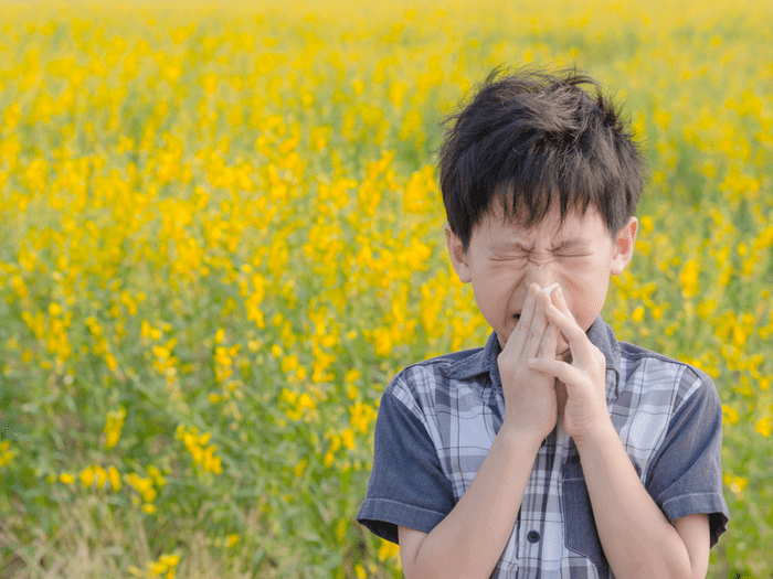 Can Allergies Turn Into A Sinus Infection Can Allergies Turn Into A Sinus Infection
