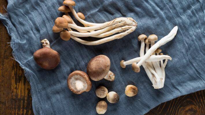 are mushrooms good for