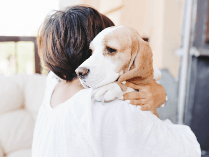 Do dogs get depressed when another dog dies