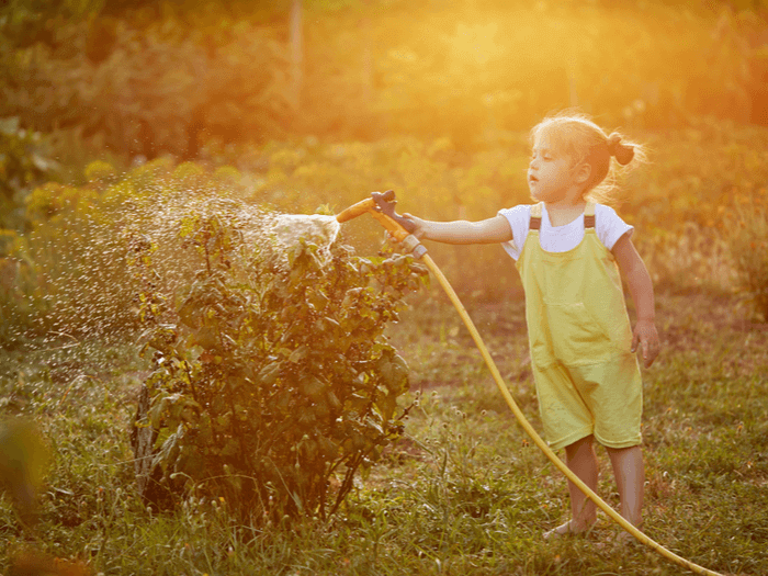 watering