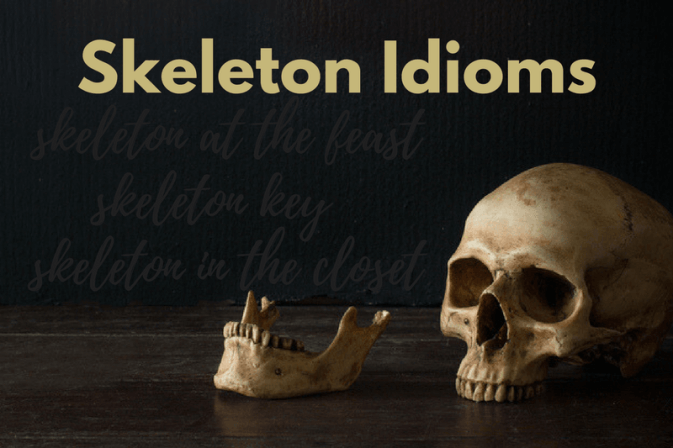an image of a skull from a skeleton to illustration skeleton idioms