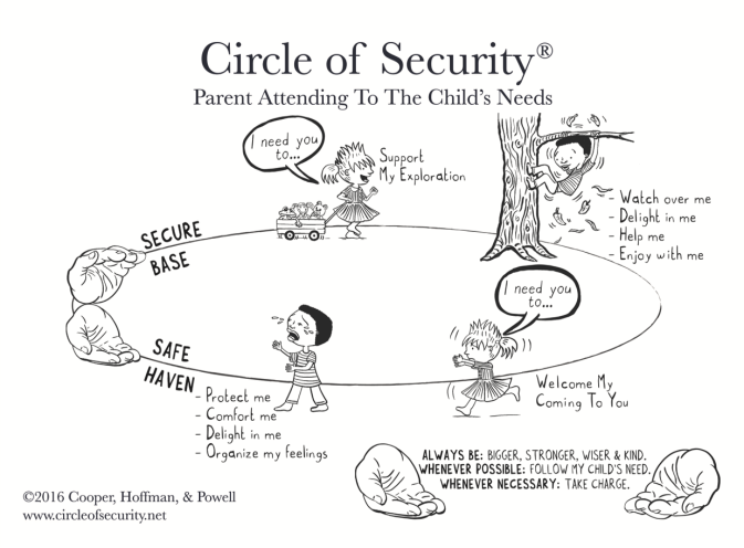 circle of security