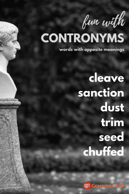 a pinterest image that lists six contronyms