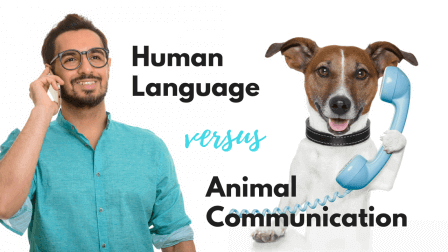 human language or animal communication