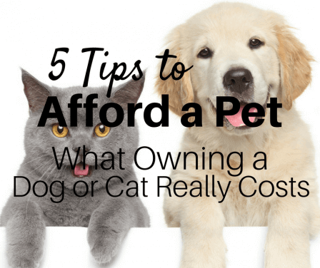5 Tips to Afford a Pet—What Owning a Dog or Cat Really Costs