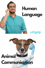 difference between human language and animal communication