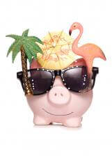 IslandPigjpgitokhqUnFUyT