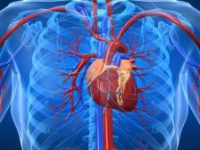 Do Statin Drugs Cause Diabetes?