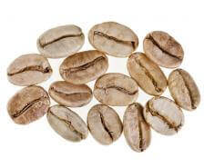Bagus ke api fat burner picture 1