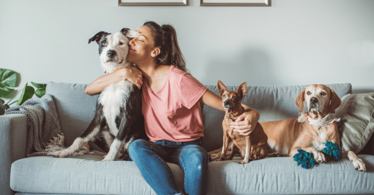 a woman sitting with three dogs on her couch