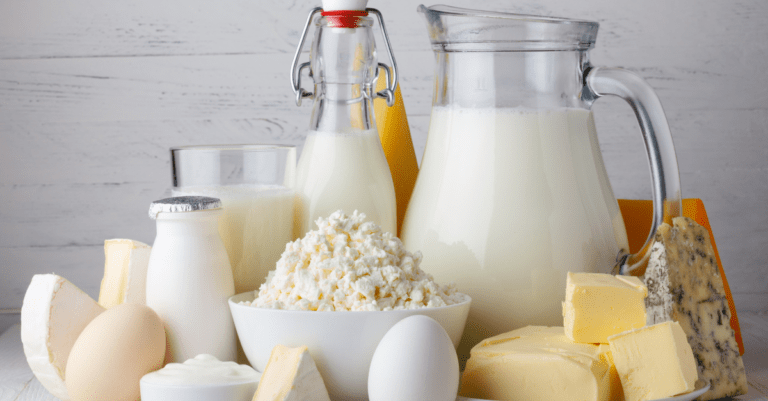 different types of dairy products like cheese and milk sitting on a table