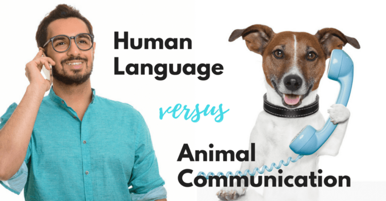 a man and a dog on the phone with each other with words on the background that read "human language versus animal communication"