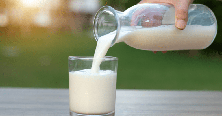 Is Drinking Milk Unnatural?