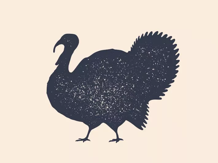 What Does Cold Turkey Mean Plus The Meaning Of 5 Other Turkey what-does-cold-turkey-mean-plus-the-meaning-of-5-other-turkey