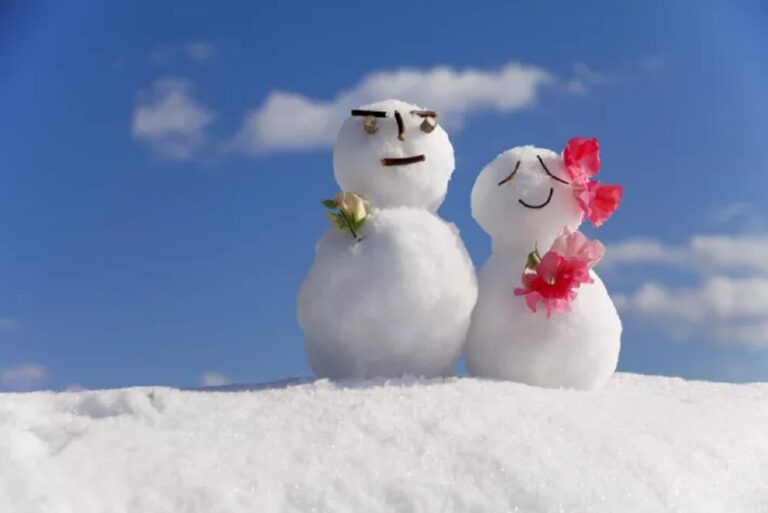 Two snowmen getting married