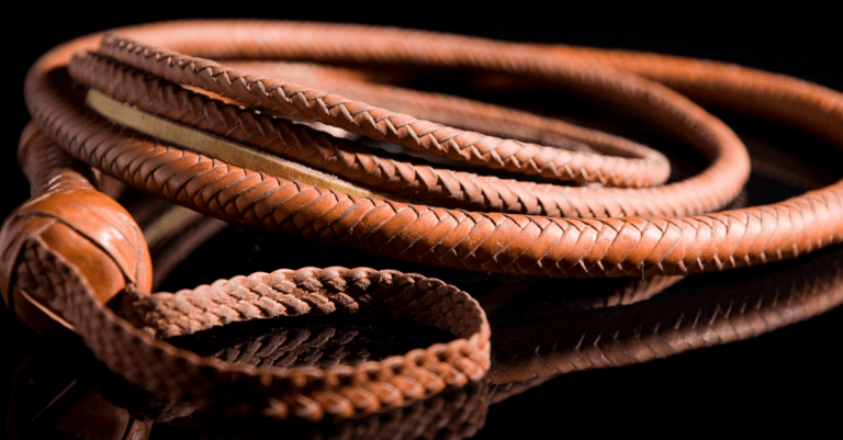 a close-up photo of a brown leather whip